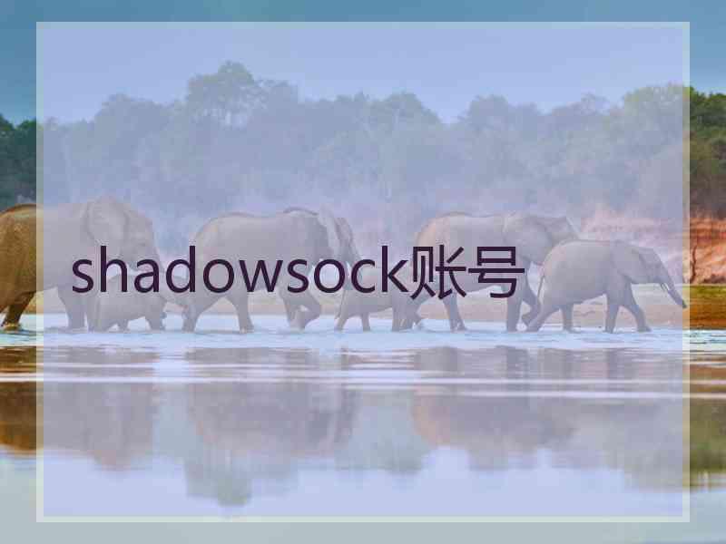 shadowsock账号