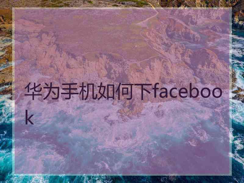 华为手机如何下facebook