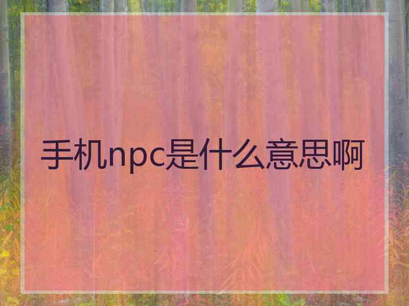 手机npc是什么意思啊