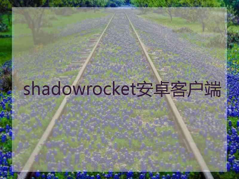 shadowrocket安卓客户端