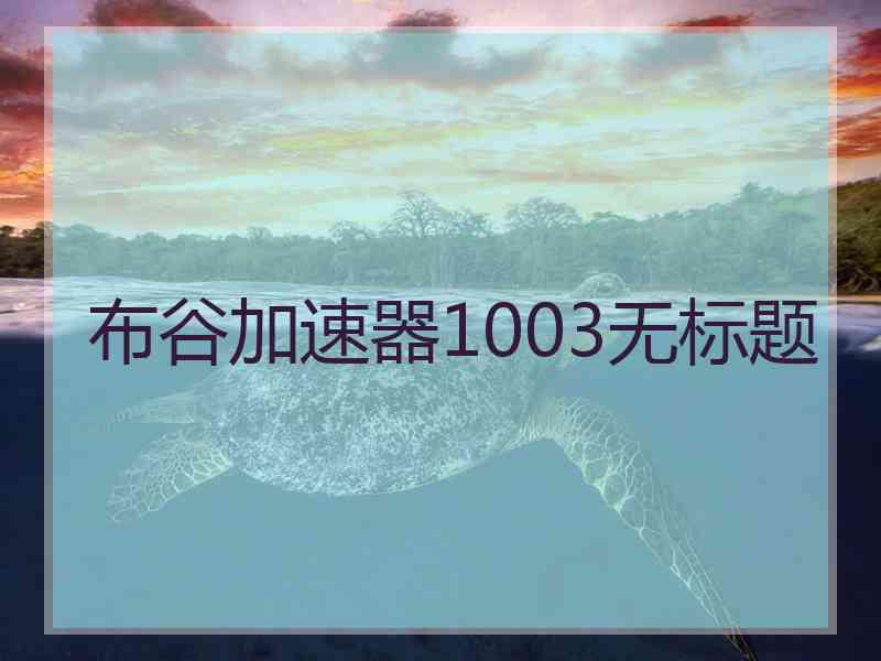 布谷加速器1003无标题