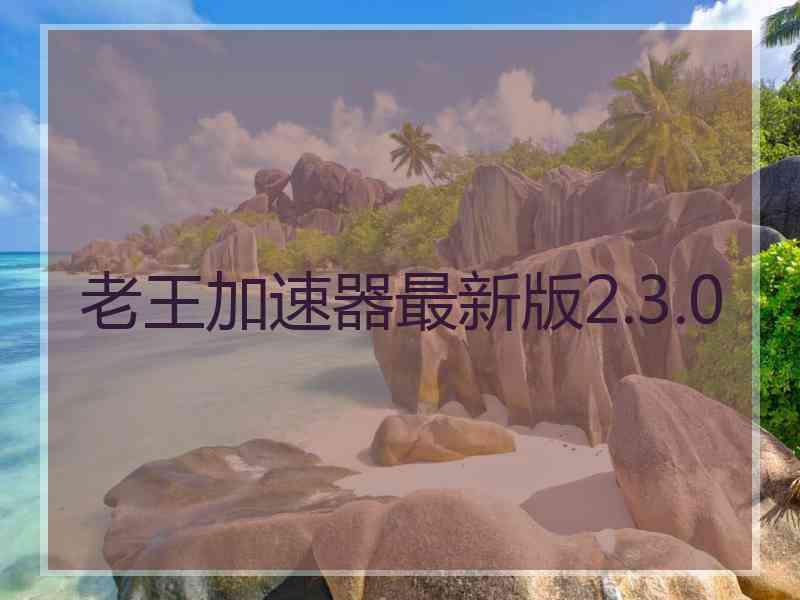 老王加速器最新版2.3.0