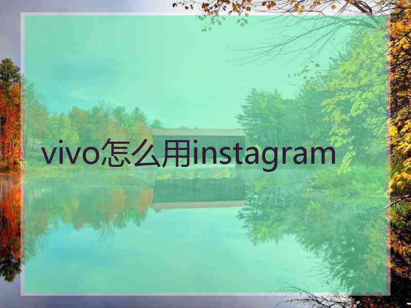 vivo怎么用instagram