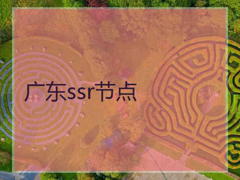 广东ssr节点