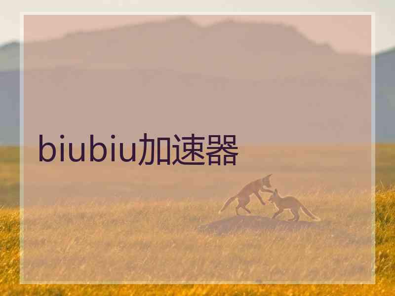 biubiu加速器