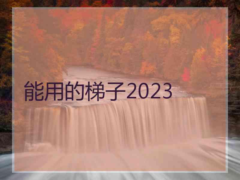 能用的梯子2023