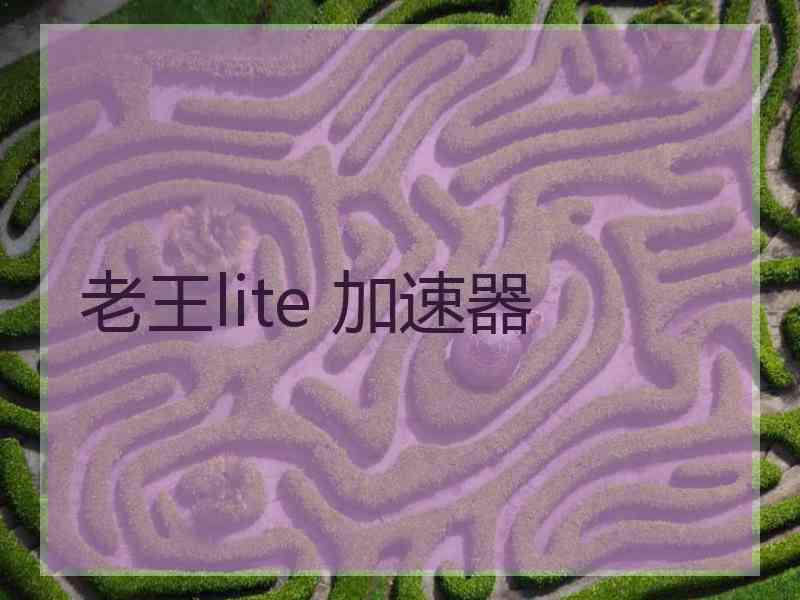 老王lite 加速器