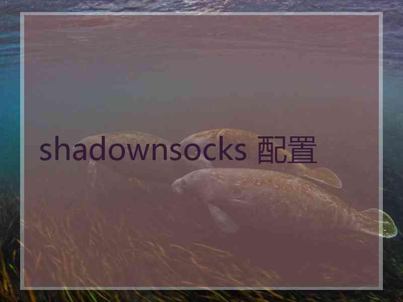 shadownsocks 配置