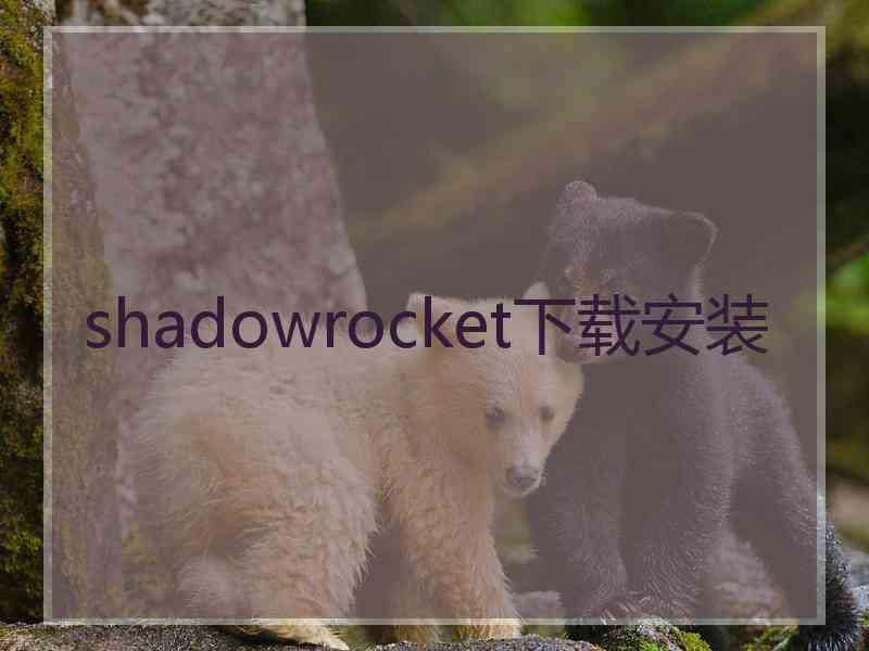 shadowrocket下载安装