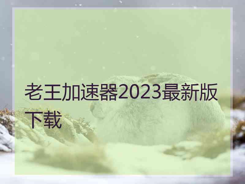 老王加速器2023最新版下载