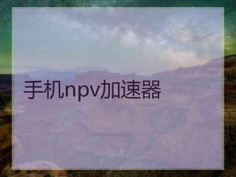 手机npv加速器