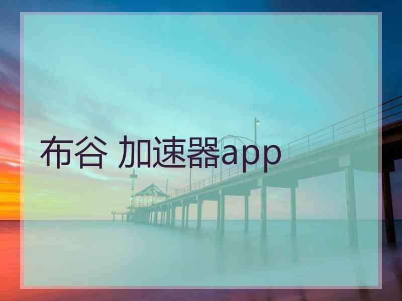 布谷 加速器app