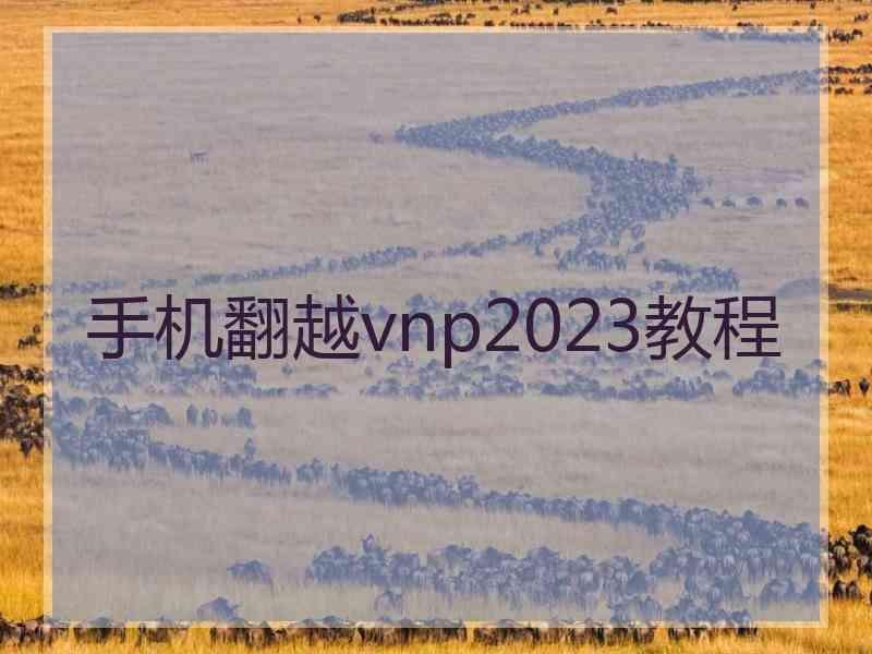 手机翻越vnp2023教程