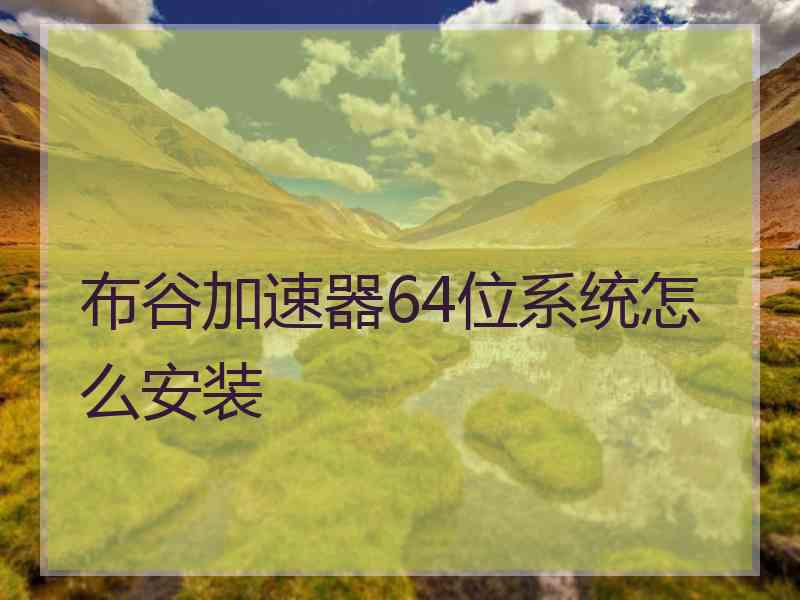 布谷加速器64位系统怎么安装