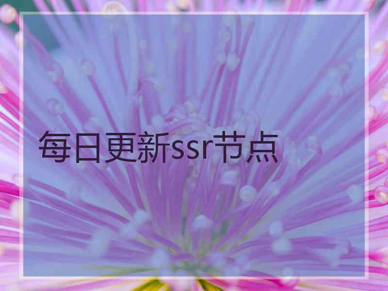 每日更新ssr节点