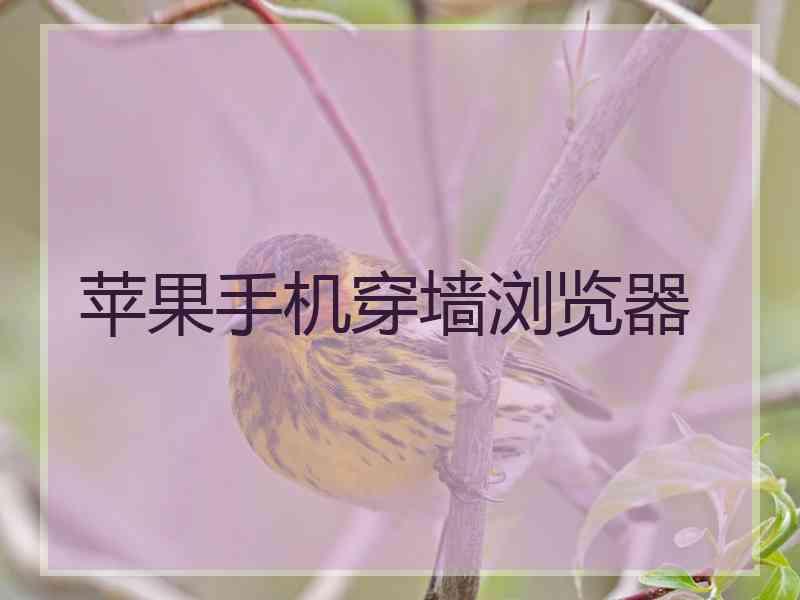 苹果手机穿墙浏览器