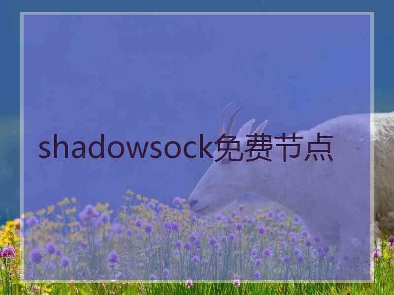 shadowsock免费节点