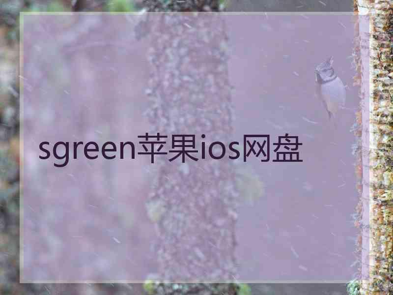 sgreen苹果ios网盘