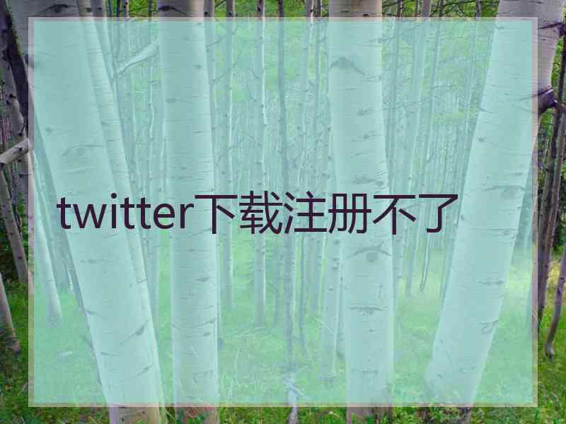 twitter下载注册不了