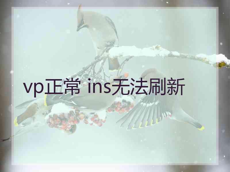 vp正常 ins无法刷新