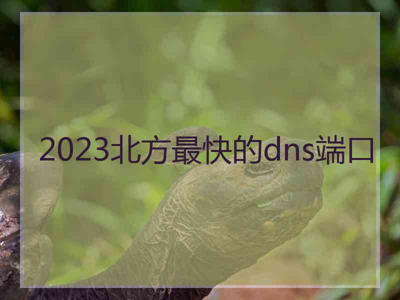 2023北方最快的dns端口