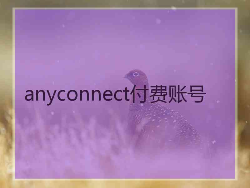 anyconnect付费账号