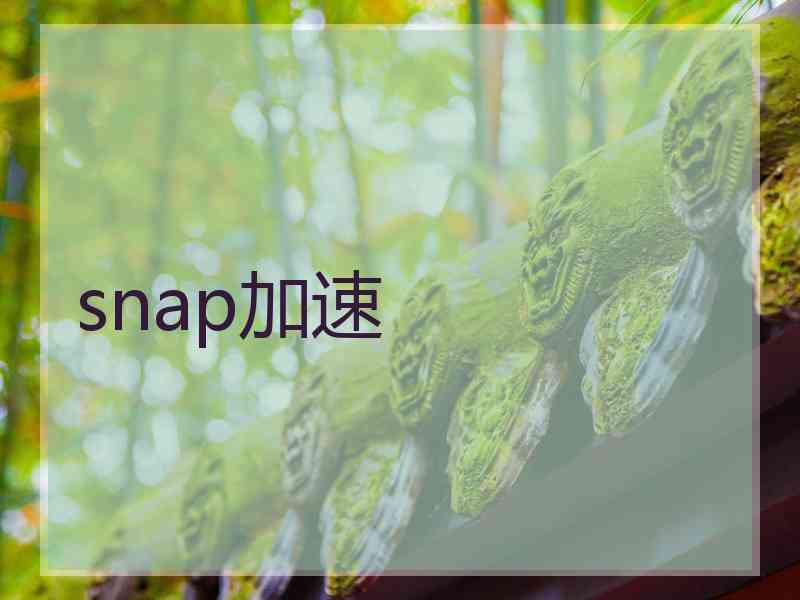 snap加速