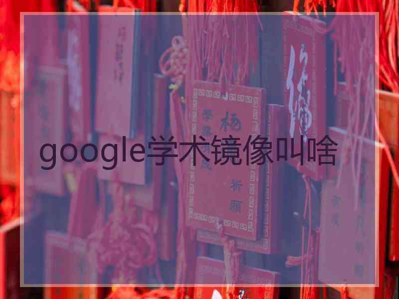 google学术镜像叫啥