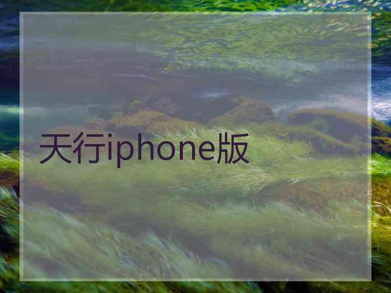 天行iphone版