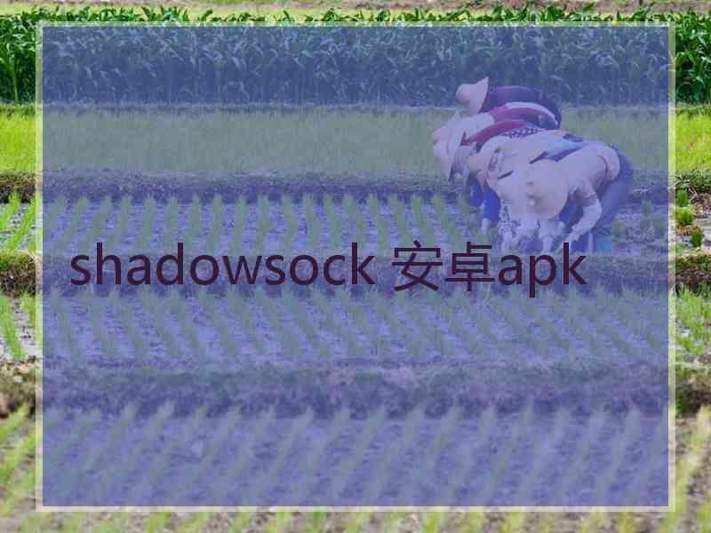 shadowsock 安卓apk