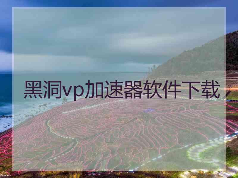 黑洞vp加速器软件下载