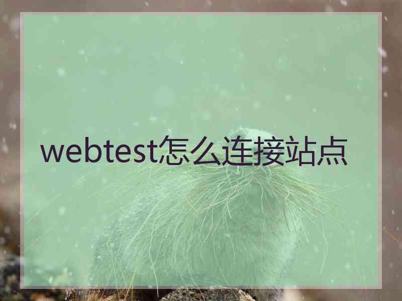 webtest怎么连接站点