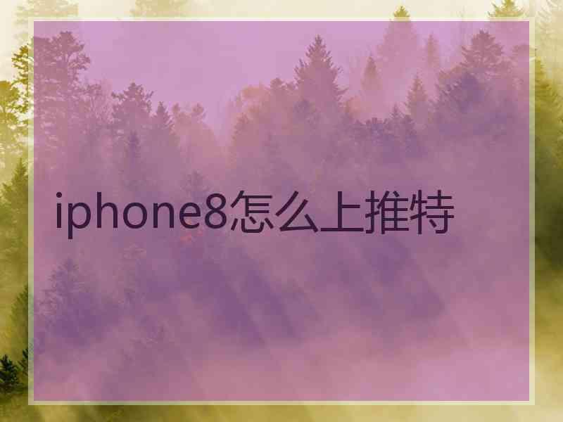 iphone8怎么上推特