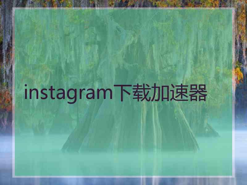 instagram下载加速器