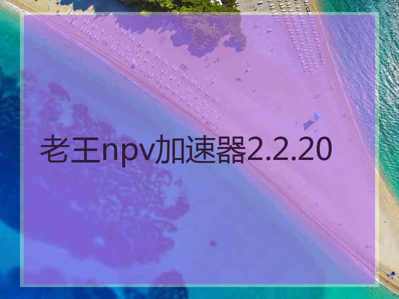 老王npv加速器2.2.20