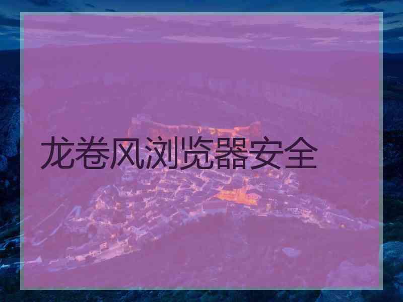 龙卷风浏览器安全