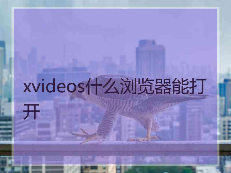 xvideos什么浏览器能打开