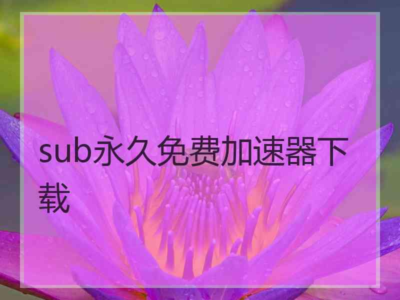 sub永久免费加速器下载