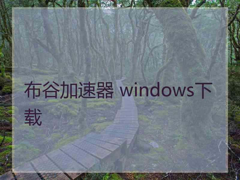 布谷加速器 windows下载