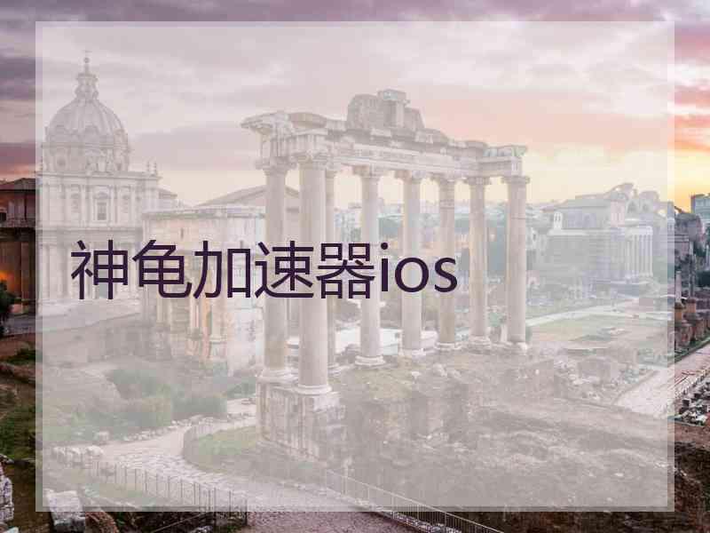 神龟加速器ios