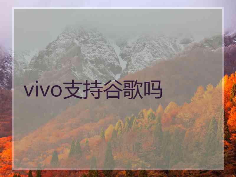 vivo支持谷歌吗