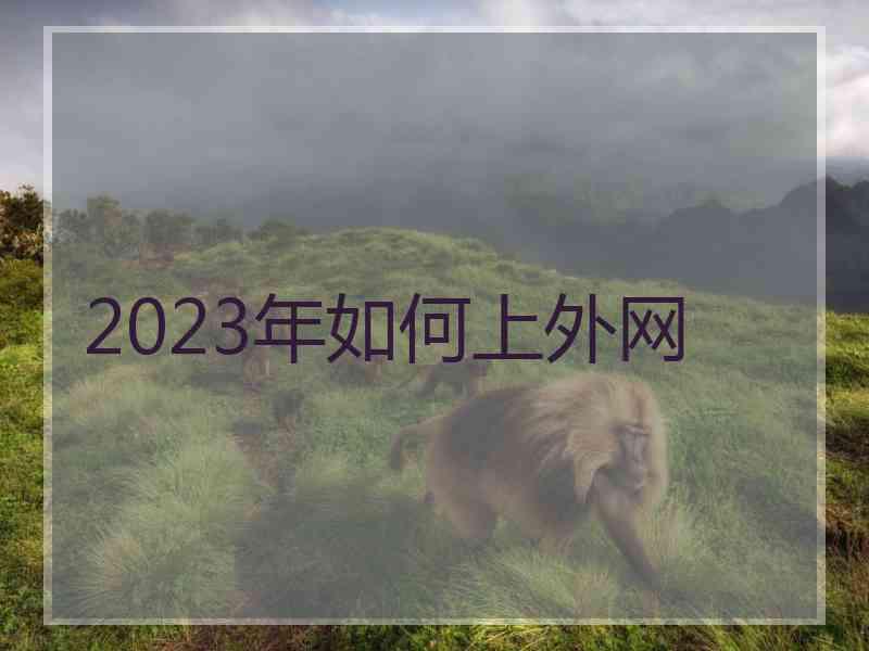 2023年如何上外网