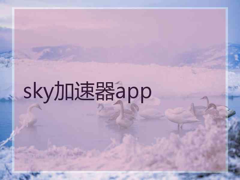 sky加速器app