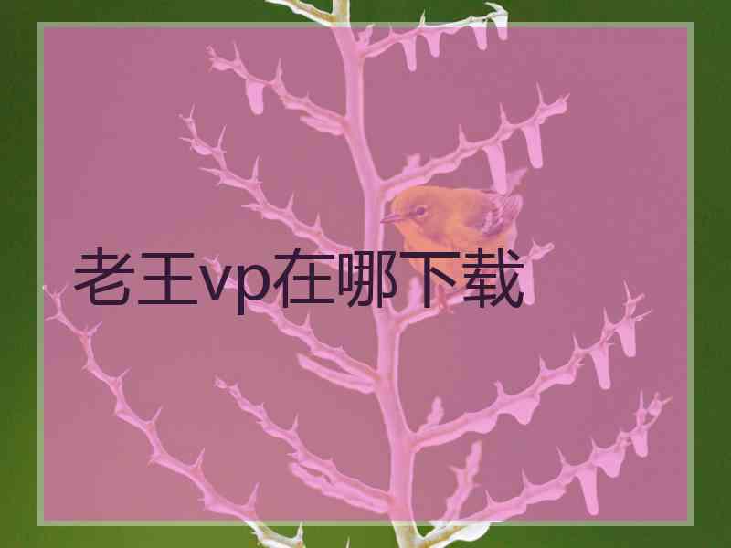 老王vp在哪下载