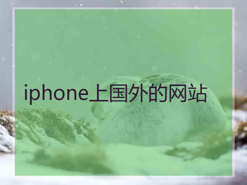 iphone上国外的网站