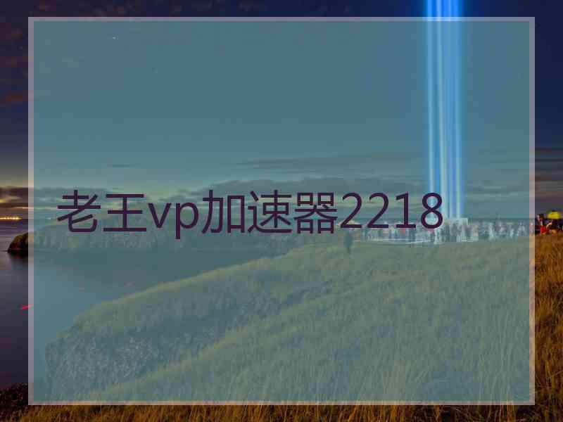 老王vp加速器2218