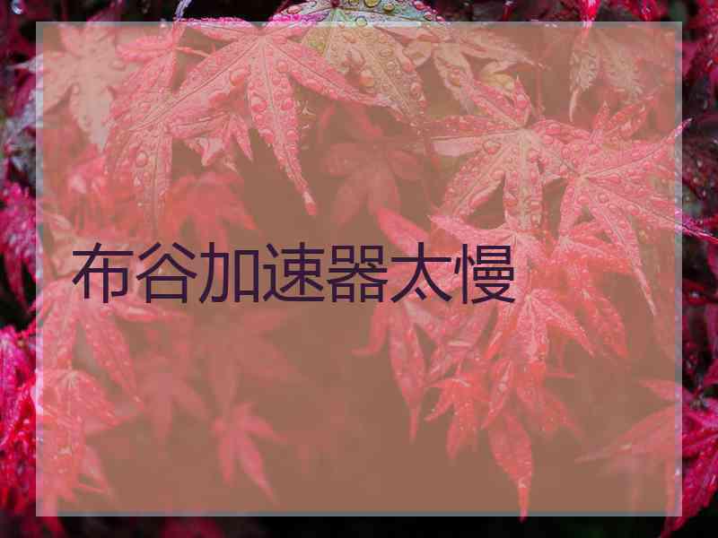 布谷加速器太慢