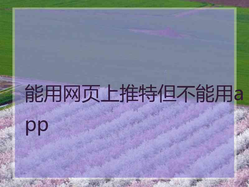 能用网页上推特但不能用app