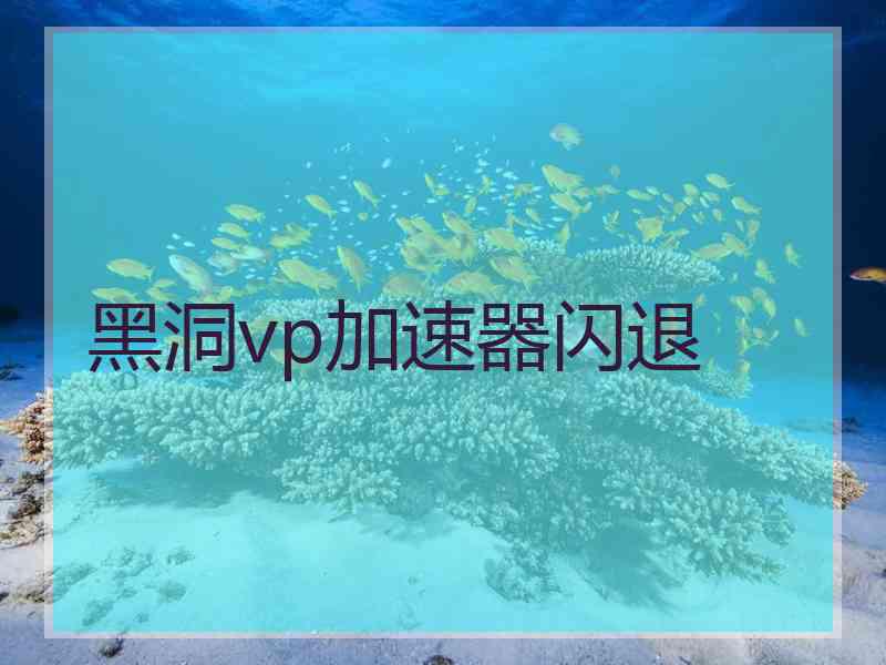 黑洞vp加速器闪退