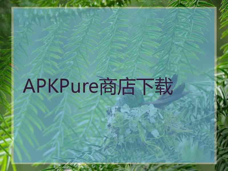 APKPure商店下载